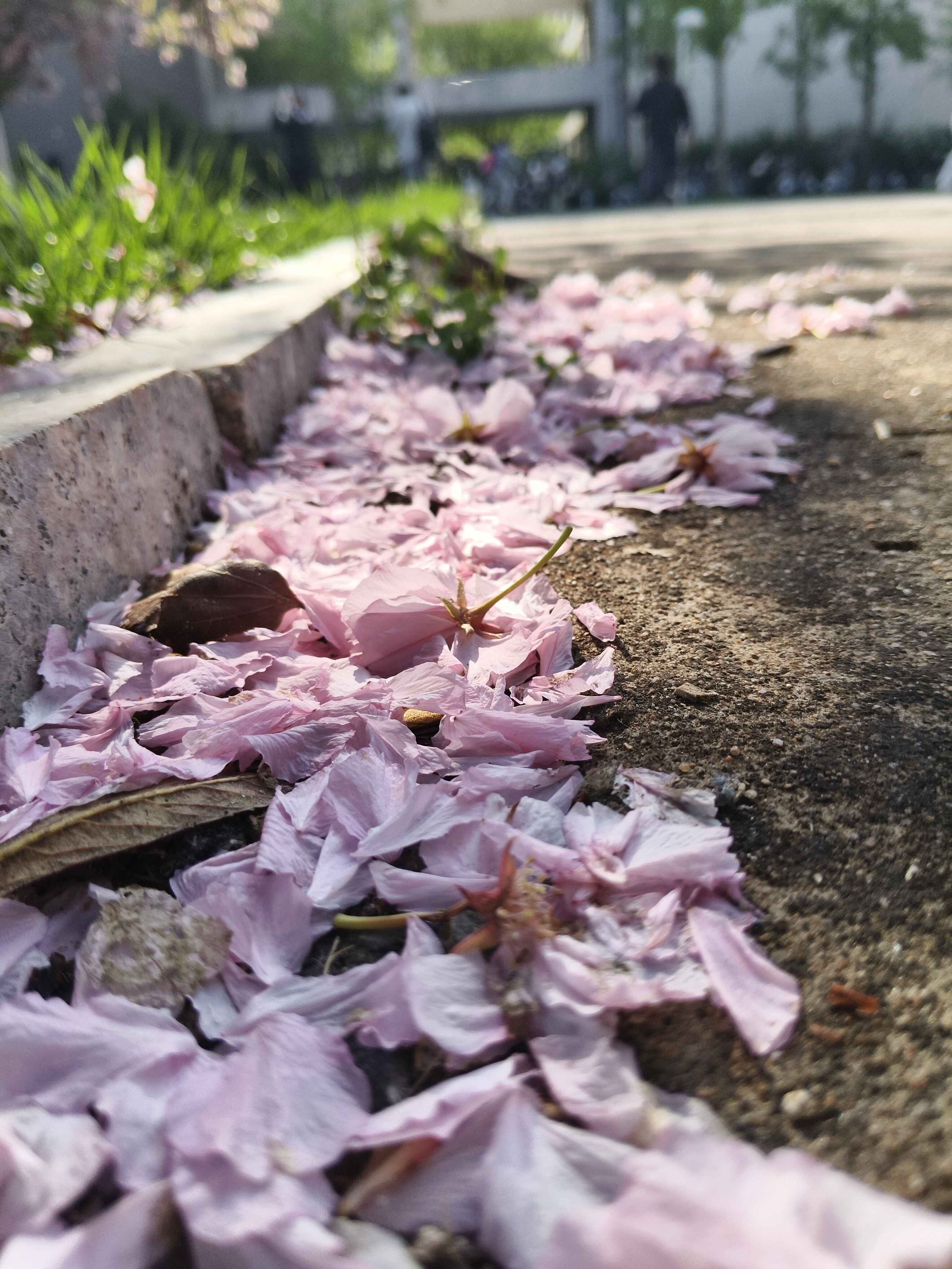 Cover Image of the Post